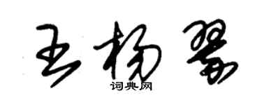 朱錫榮王楊翠草書個性簽名怎么寫