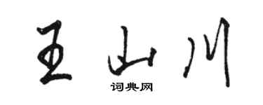 駱恆光王山川行書個性簽名怎么寫