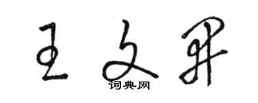 駱恆光王文開草書個性簽名怎么寫