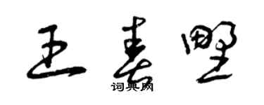 曾慶福王春野草書個性簽名怎么寫