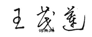 駱恆光王茂蓮草書個性簽名怎么寫