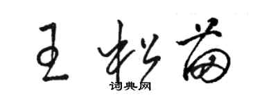 駱恆光王松苗草書個性簽名怎么寫