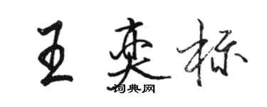 駱恆光王奕標行書個性簽名怎么寫