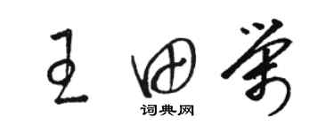 駱恆光王田榮草書個性簽名怎么寫