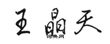 駱恆光王晶天行書個性簽名怎么寫