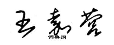 朱錫榮王嘉營草書個性簽名怎么寫