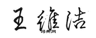 駱恆光王維潔行書個性簽名怎么寫