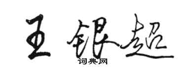 駱恆光王銀超行書個性簽名怎么寫