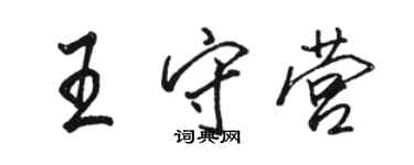 駱恆光王守營行書個性簽名怎么寫