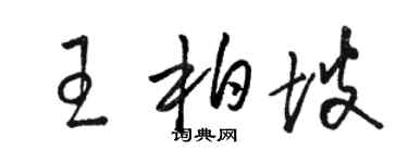 駱恆光王柏坡草書個性簽名怎么寫