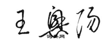 駱恆光王興陽草書個性簽名怎么寫