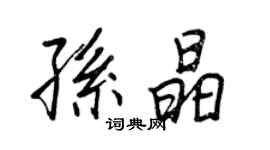 王正良孫晶行書個性簽名怎么寫