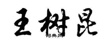 胡問遂王樹昆行書個性簽名怎么寫