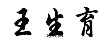 胡問遂王生育行書個性簽名怎么寫