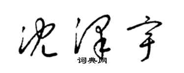 梁錦英沈澤宇草書個性簽名怎么寫