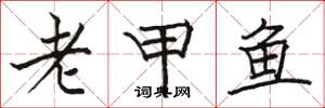 駱恆光老甲魚楷書怎么寫