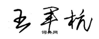 朱錫榮王軍杭草書個性簽名怎么寫