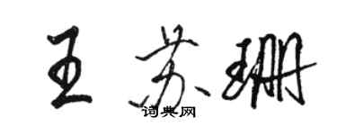 駱恆光王蘇珊行書個性簽名怎么寫