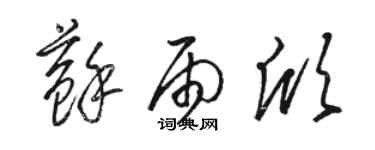 駱恆光蘇雨欣草書個性簽名怎么寫