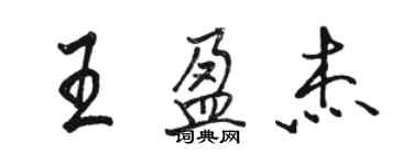 駱恆光王盈傑行書個性簽名怎么寫