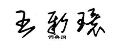 朱錫榮王新環草書個性簽名怎么寫