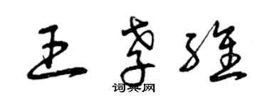 曾慶福王孝維草書個性簽名怎么寫