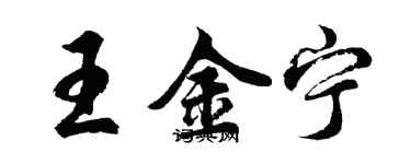 胡問遂王金寧行書個性簽名怎么寫