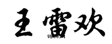 胡問遂王雷歡行書個性簽名怎么寫