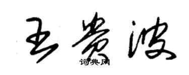 朱錫榮王貴波草書個性簽名怎么寫