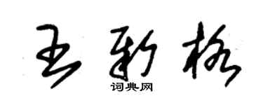 朱錫榮王新格草書個性簽名怎么寫