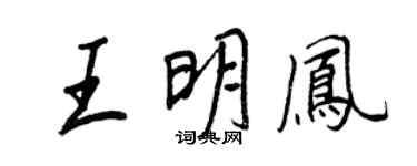 王正良王明鳳行書個性簽名怎么寫