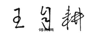 駱恆光王自耕草書個性簽名怎么寫