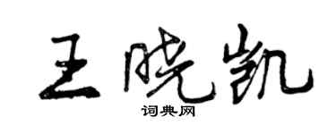 曾慶福王曉凱行書個性簽名怎么寫