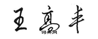 駱恆光王高豐行書個性簽名怎么寫