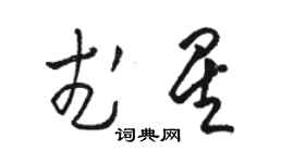 駱恆光武星草書個性簽名怎么寫