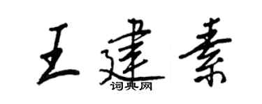 王正良王建素行書個性簽名怎么寫