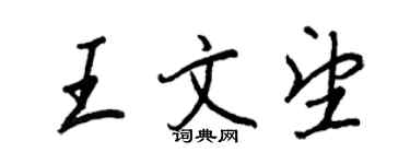 王正良王文望行書個性簽名怎么寫