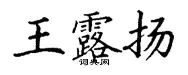 丁謙王露揚楷書個性簽名怎么寫