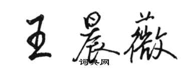 駱恆光王晨薇行書個性簽名怎么寫