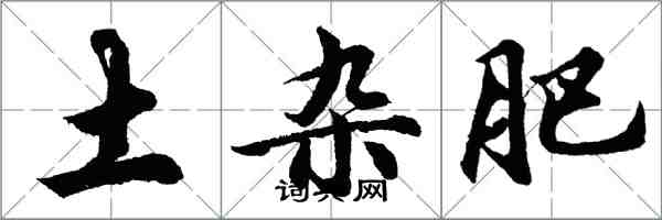 胡問遂土雜肥行書怎么寫