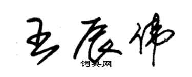 朱錫榮王辰偉草書個性簽名怎么寫