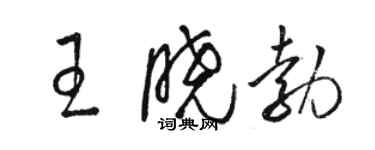 駱恆光王曉勃草書個性簽名怎么寫