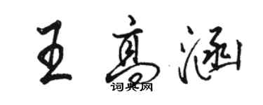 駱恆光王高涵行書個性簽名怎么寫