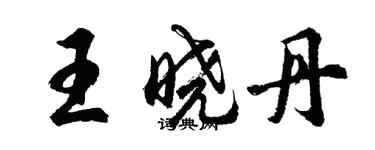 胡問遂王曉丹行書個性簽名怎么寫