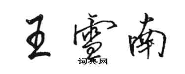 駱恆光王雪南行書個性簽名怎么寫