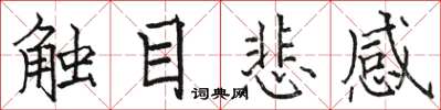 駱恆光觸目悲感楷書怎么寫