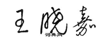 駱恆光王曉嘉草書個性簽名怎么寫