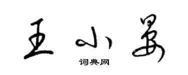 梁錦英王小晏草書個性簽名怎么寫