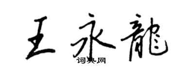 王正良王永龍行書個性簽名怎么寫