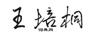 駱恆光王培桐行書個性簽名怎么寫